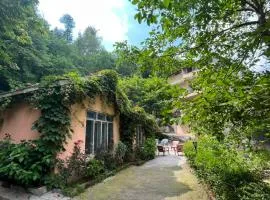 Escape cottage Nathia Gali