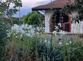 Rustična kuća Golobok