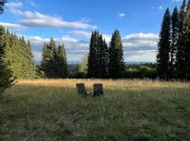 Waldgarten Marienau