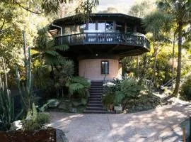 The Graceful Dodeca Treehouse Coalcliff