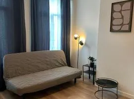 Modern Apt for 4 Near City Center