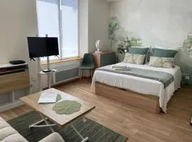 Charmant studio en plein cœur de Remiremont