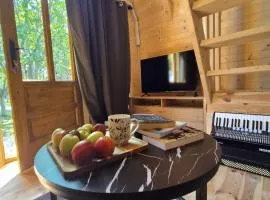 Tiny House 4-Imanje Terzic
