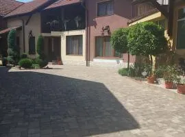 The Cozy Backyard Home- satu Mare