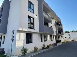 Băile Felix ap Livia