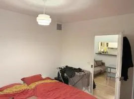 Moderan Apartman s Besplatnim Parkingom
