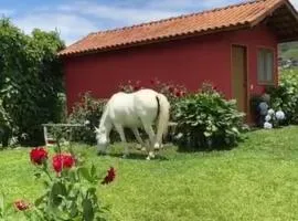 Pousada Maia em flor