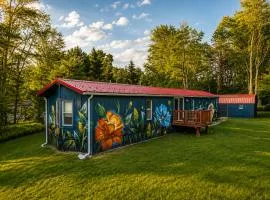 Mural Art Cabin With Pond And Hot Tub
