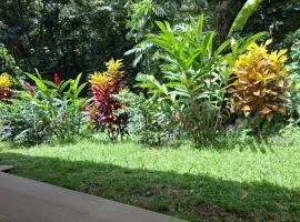 Kay Canou - Vue jardin tropical - Calme & nature