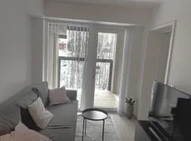 Scandpoint-H7 Apartment close to Airport, shopping and City Centre