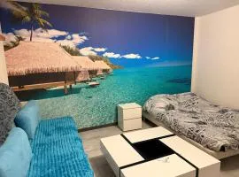 Ocean 300m Gare Centre ville Wifi Parking gratuit