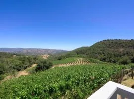 Napa Vineyard with Stunning Views By Allevo Homes