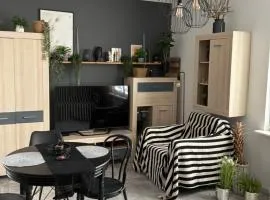 Apartament w centrum Kutna