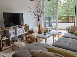 Apartman BoB Trebevic Brus