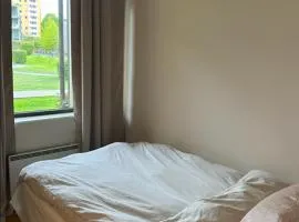 1 rom i Trondheim