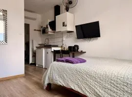 Studio cosy rénové en 2023 Garage