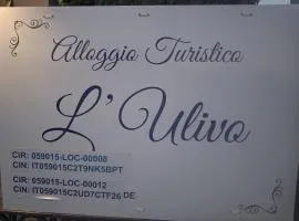 Alloggio Turistico L'Ulivo