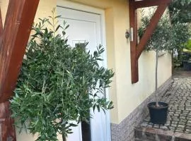 Ferienwohnung Mühlberg