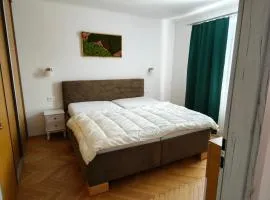 Cozy 2 bedroom apartment