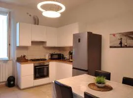 Albizi Home