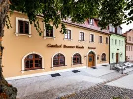 Brauner Hirsch Bernstadt