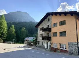 Hotel Alp Sur