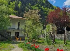 Lentexi Inn