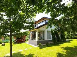 Mountain House Brutusi 18