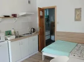 Studio jednopokojowe Perełka