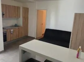 appartement cosy 1 chambre