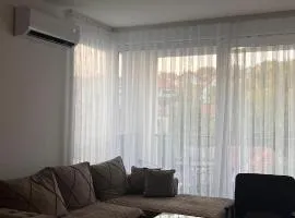 Apartman Trajković Sokobanja