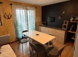 appartement au pied des pistes