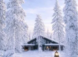 Villa Blackreindeer