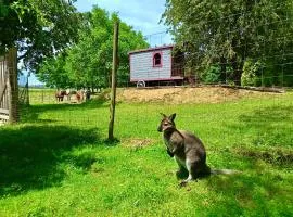 La Bohème aux wallabies