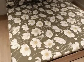 Appartement Saint Malo - Saint Servan à 15 min d'Intra-Muros