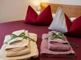 Camere Nordest Sudest- Conca Agordina
