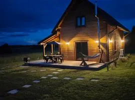 Relaks przy lesie
