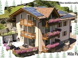 Bike Bed&Breakfast Mille Pini