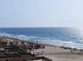لؤلؤة البحر
