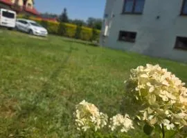 Apartament Stokrotka