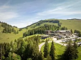 Almwellness Hotel Pierer