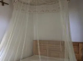 Magamba Eco-Cultural Tourism & Home Stay