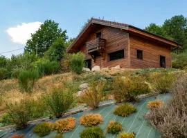 "Les Reflets de la Moselotte" - Chalet premium, calme & confort, vue Montagne, proche Centre et Pistes, Parking