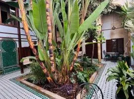 Riad El Maâti