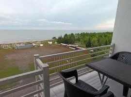 506 Terras