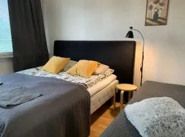 Bright two-room apartment in Raksila, free parking