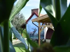 Agroturystyka u Ani