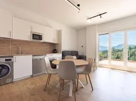The Rooftop Apartments