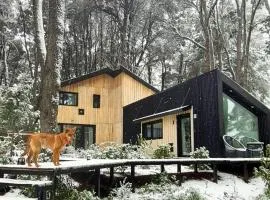 Bosque Cipreses Sur