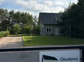 KASZUBY Oliwkowy domek Niesiołowice na Kaszubach Balia z Jacuzzi Jeziora lasy